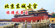 狂操女人的嫩B中国北京-东城古宫旅游风景区